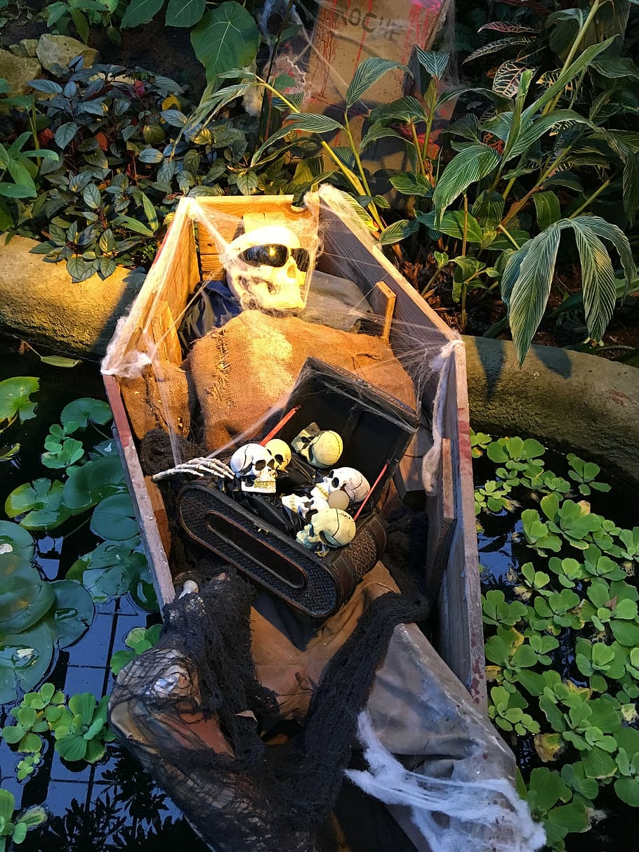 halloween, coffin, spooky, october, garden, decor, leaf, plant part HD wallpaper