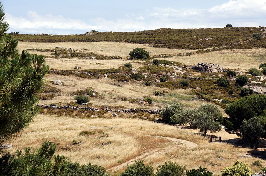 corsica, fields, sky, nature, landscape, hill, rural, idyll HD wallpaper