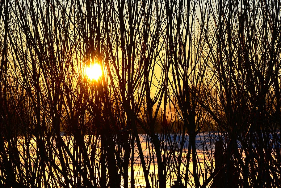sunset, winter, wintry, snow, sky, romantic, snowy, afterglow HD wallpaper