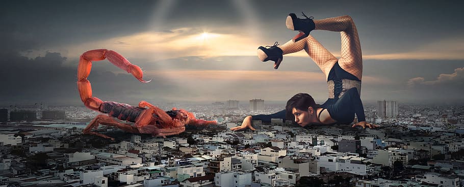 scorpion and woman on top of building illustration, fantasy, city, HD wallpaper