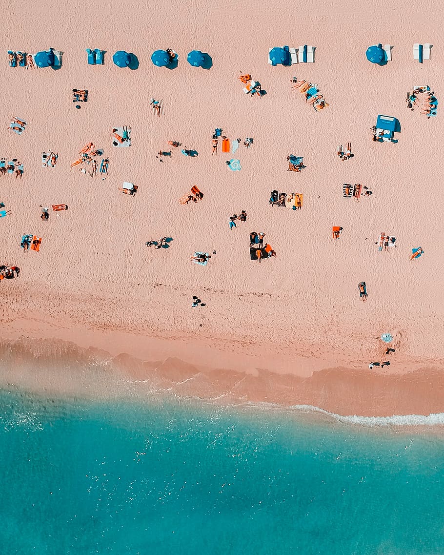 bird's-eye view photography of people in seashore, top view of the people at the beach HD wallpaper