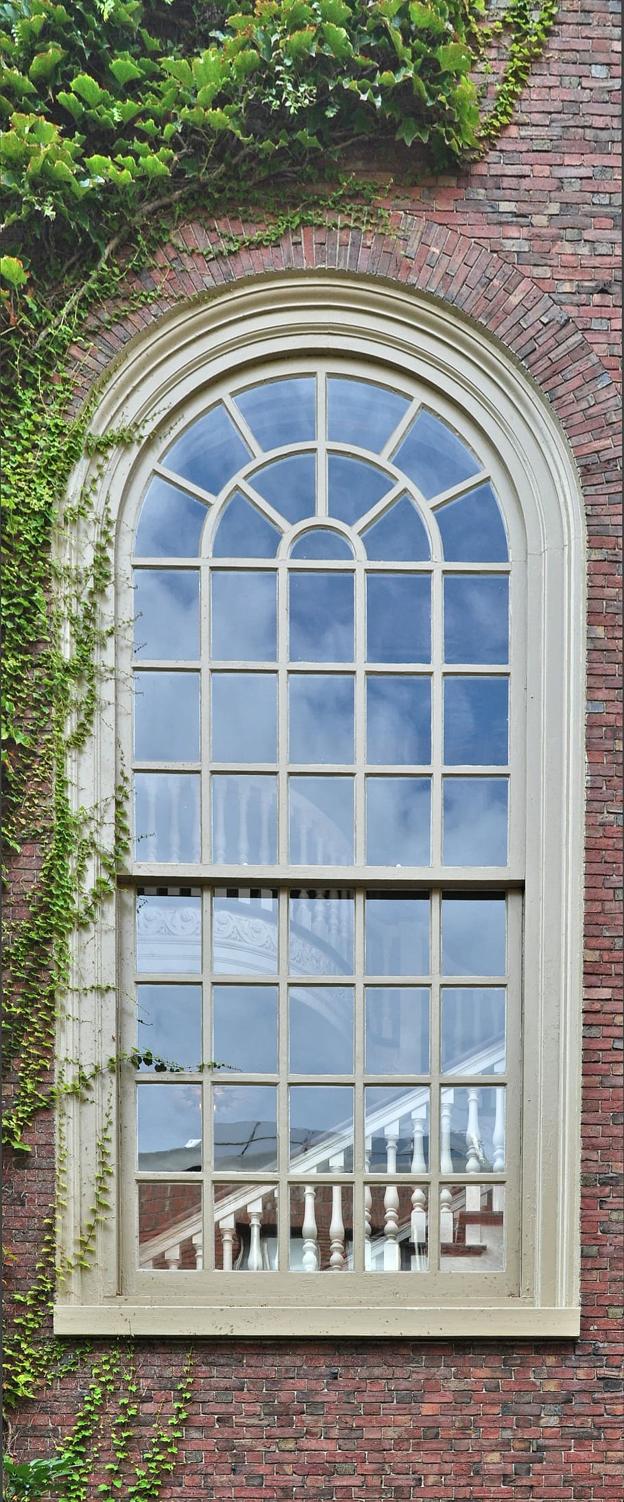 Window, Wall, Ivy, architecture, day, building exterior, built structure HD wallpaper