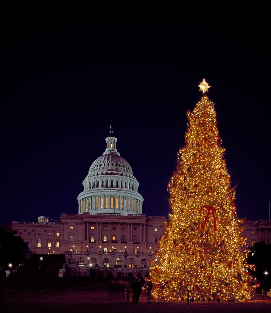 Lighted Christmas tree next to parliament building, capital, photos