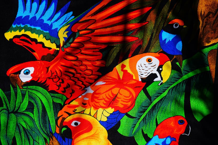 parrots, aras, lori, parakeet, birds, towel, bath towel, colorful HD wallpaper