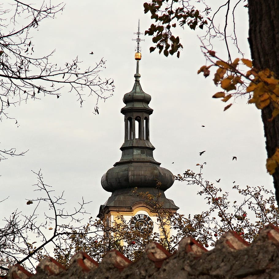 Crows, Birds, Tower, Steeple, Wall, building, church, borovany HD wallpaper