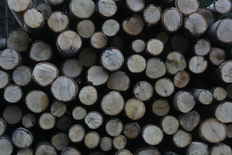 wood, logs, forest, tree, timber, lumber, stack, wine, alcohol HD wallpaper