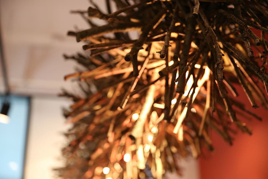 wood, lighting, cafe, tree, no people, close-up, focus on foreground HD wallpaper