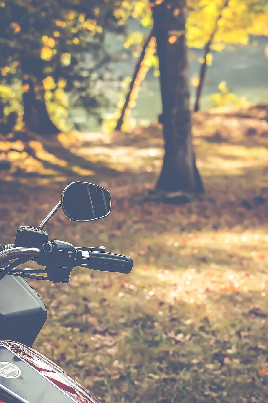 motorcycle, mirrow, bikes, handlebar, circle, old-fashioned HD wallpaper