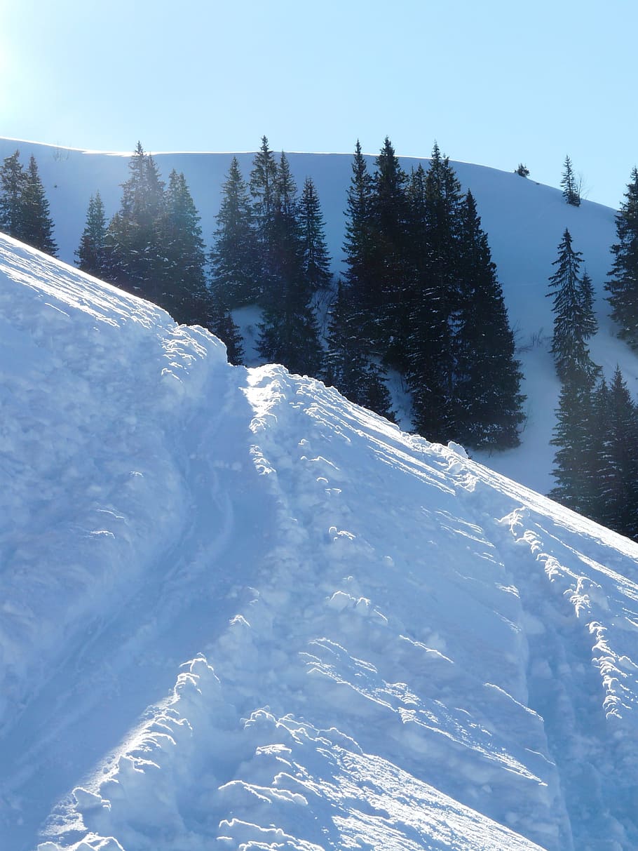 Traces, Snow, Snowy, Skiing, Wag, Track, winter, cold, white HD wallpaper