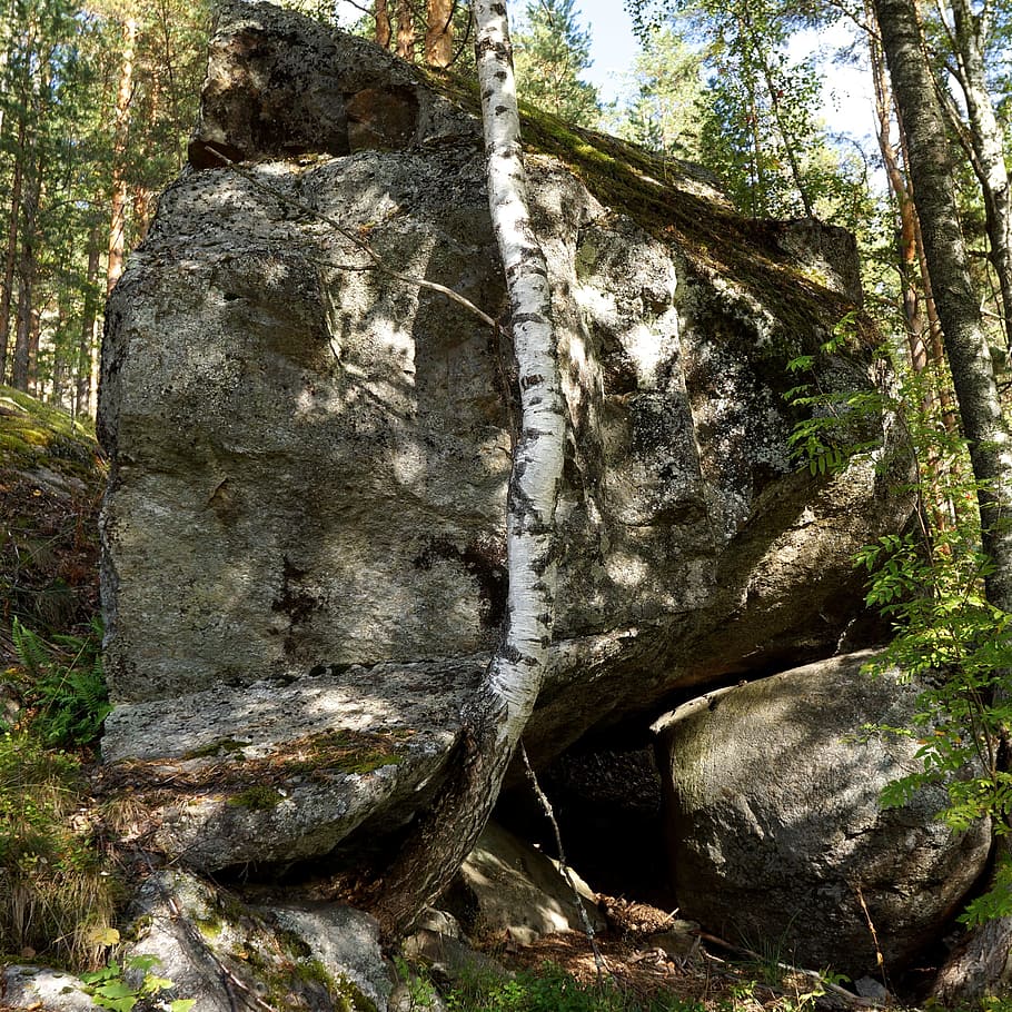 Boulder, Stone, Ice Age, the ice age, nature, tree, forest HD wallpaper