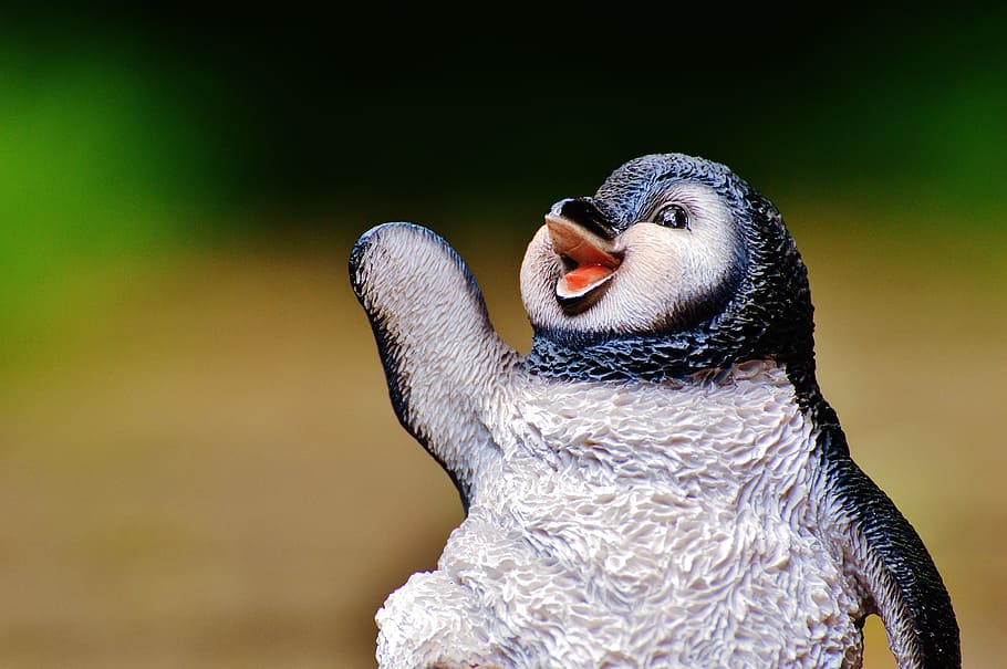 penguin, figure, cute, deco, animal, sweet, dance, animal themes HD wallpaper