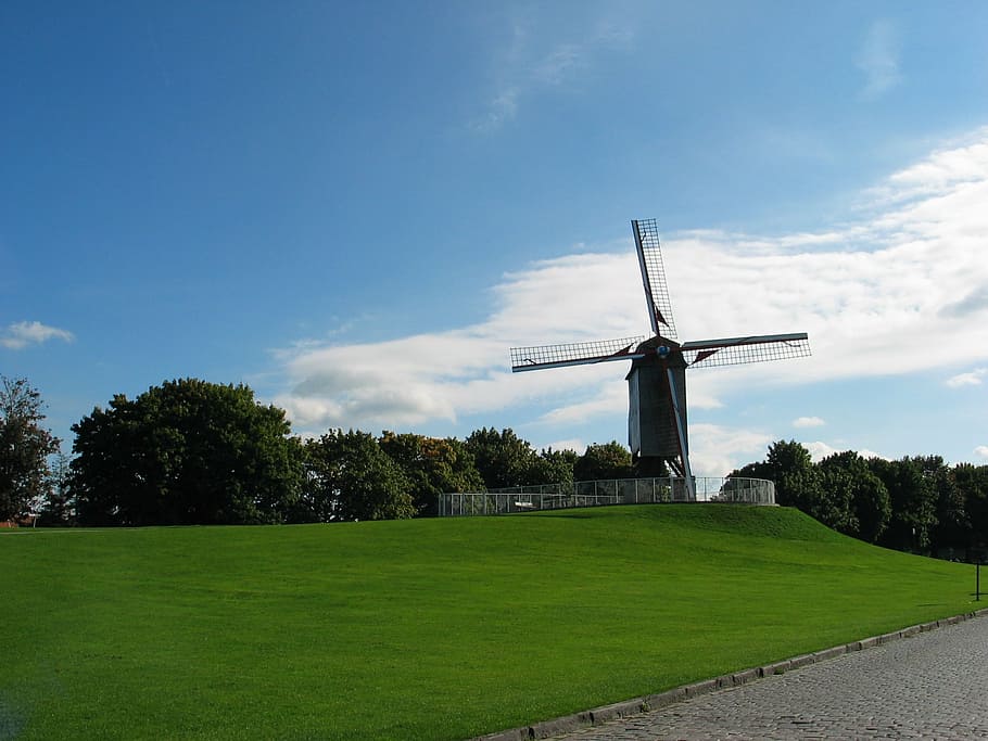 bruges, windmill, rush, sky, belgium, nature, meadow, landscape HD wallpaper