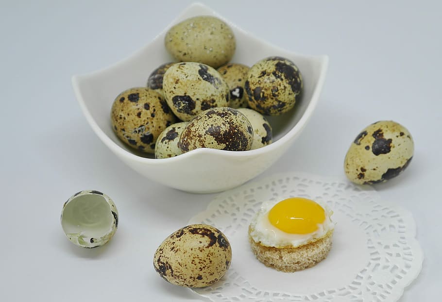 quail eggs, shell, fried, cooked, eat, food, protein, yolk HD wallpaper