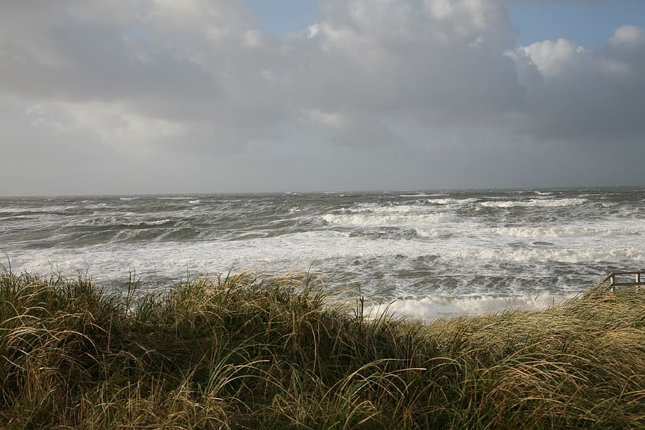 forward, sea, wind, wave, water, swell, clouds, mood, surf HD wallpaper