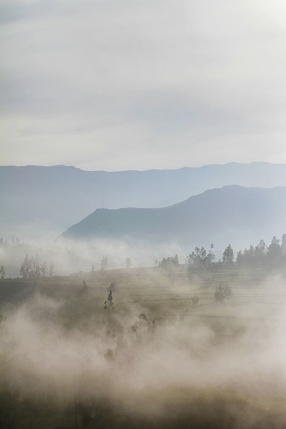 fog on green grass field during daytime, mountain covered by clouds HD wallpaper