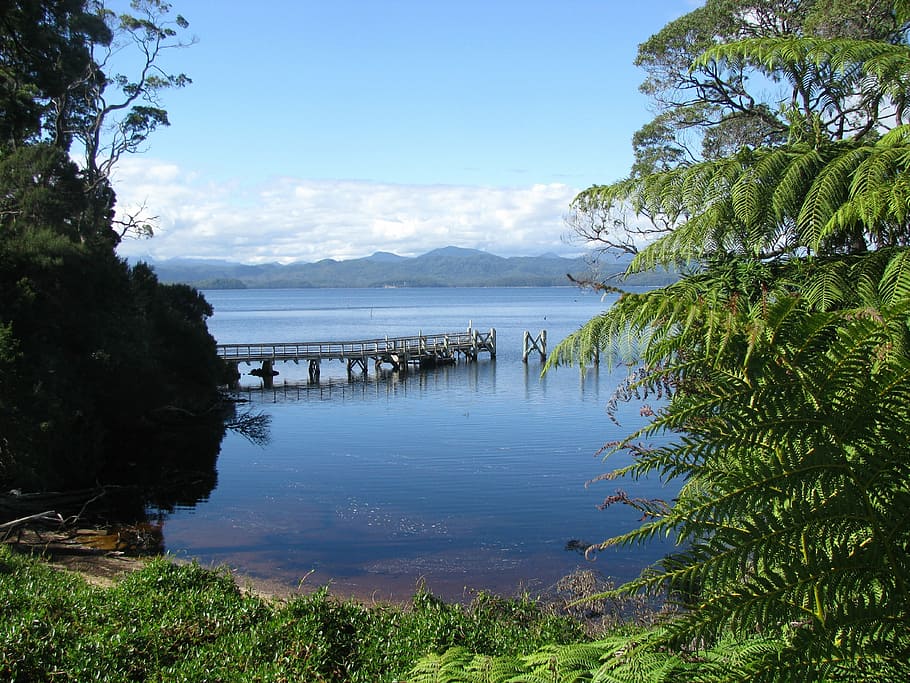 Lake St Clair, Tasmania, still, peaceful, nature, water, scenics, HD wallpaper