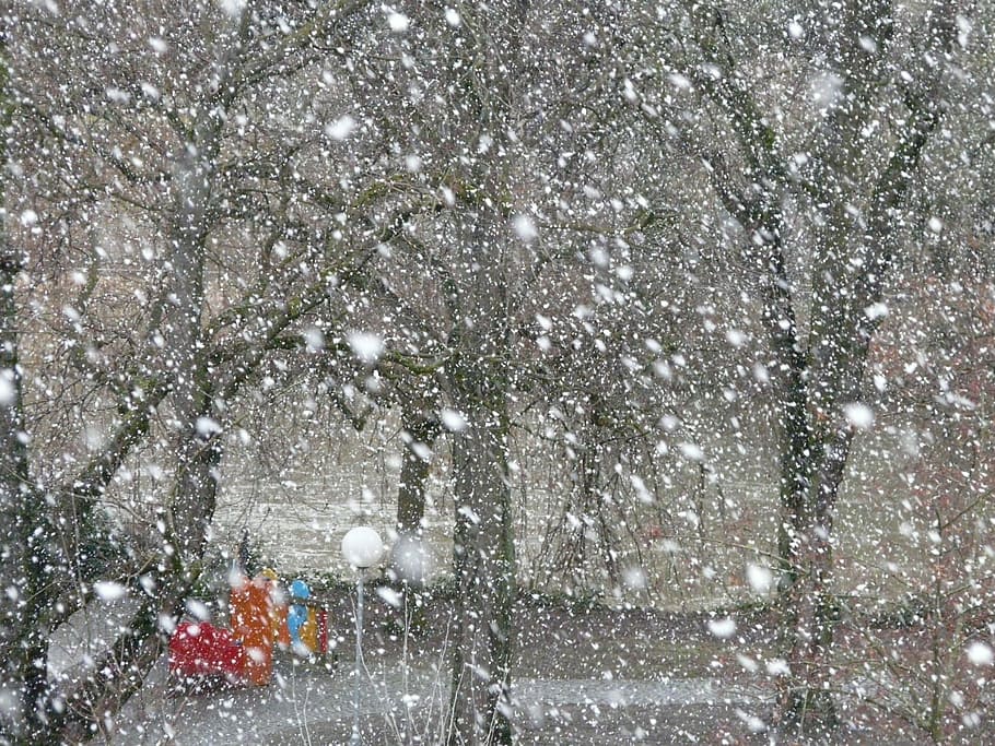 snowfall, snowflakes, blizzard, winter, winter dream, cold HD wallpaper