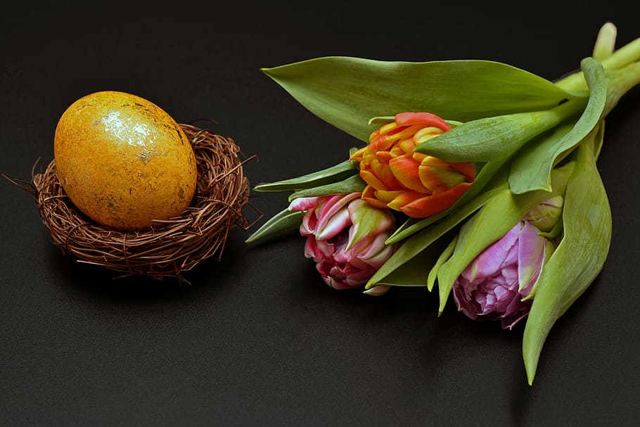 green leaf plant besides brown egg, easter egg, easter nest HD wallpaper