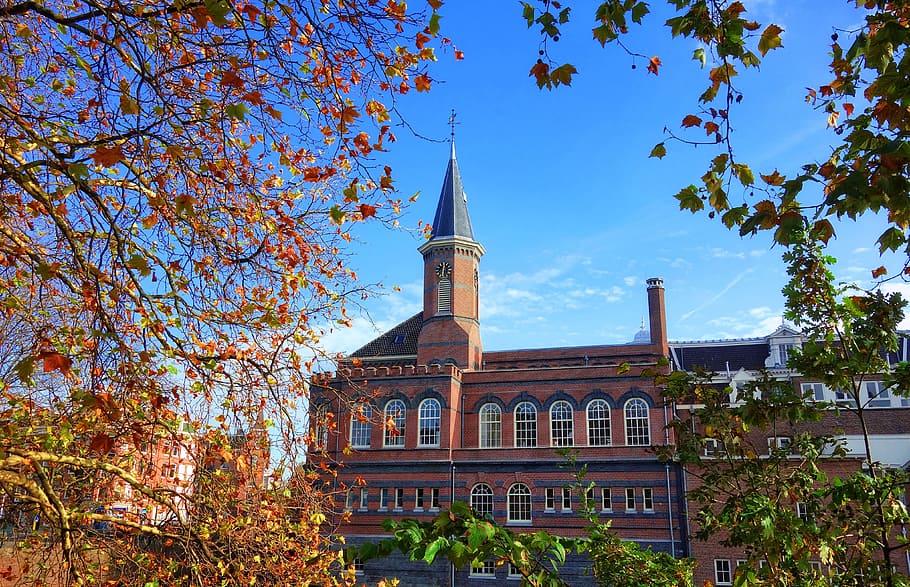 tower, clock, building, architecture, windows, arched windows HD wallpaper