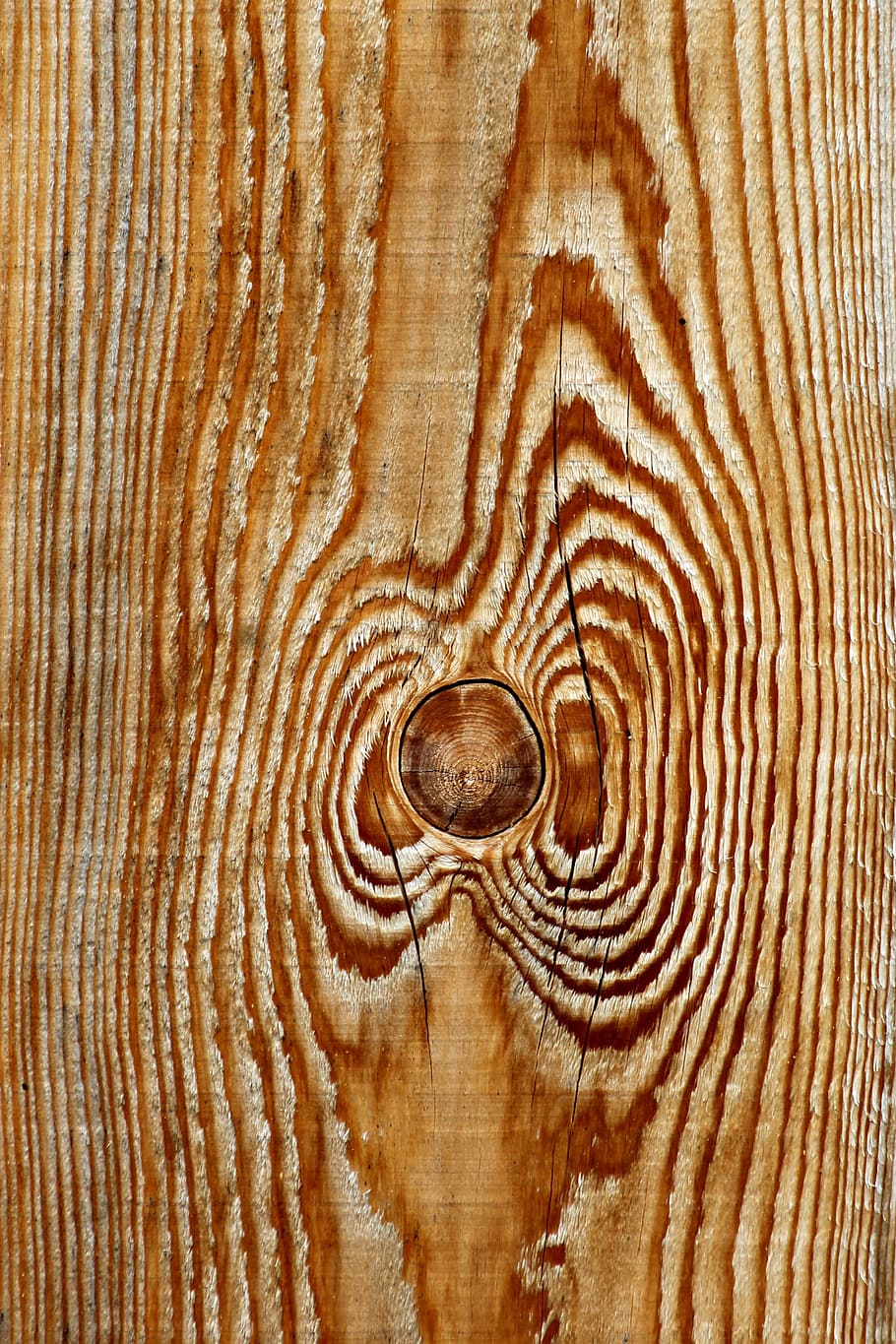 wood, timber, material, sample, grain, structure, nature, pattern