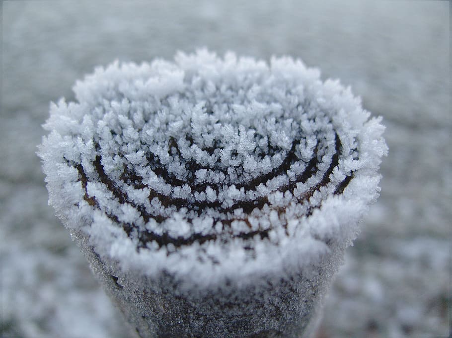 winter, white, cold, snow, wintry, snow magic, crystal, cold temperature HD wallpaper