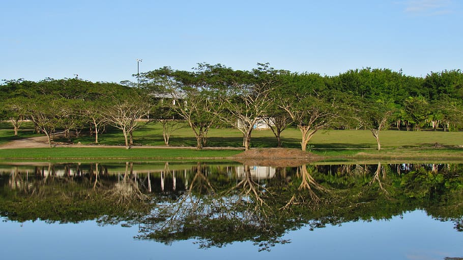 water, reflection, shore, lake, tropical, tree, sky, landscape HD wallpaper