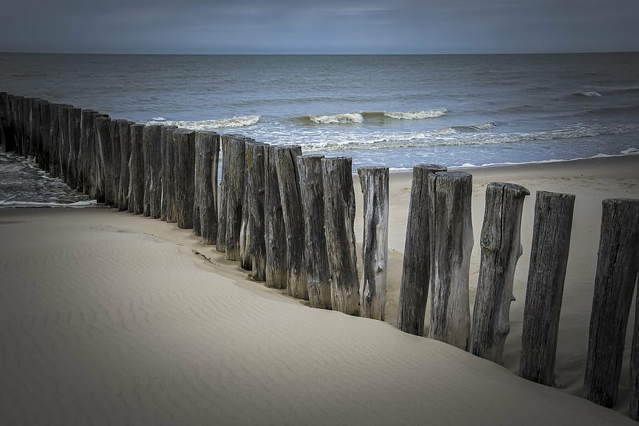 beach, sea, blue, wood, coastline, nature, water, horizon over water HD wallpaper