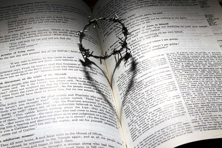 HD wallpaper: round barb wire, love, died, cross, thorns, crown, heart,  bible | Wallpaper Flare