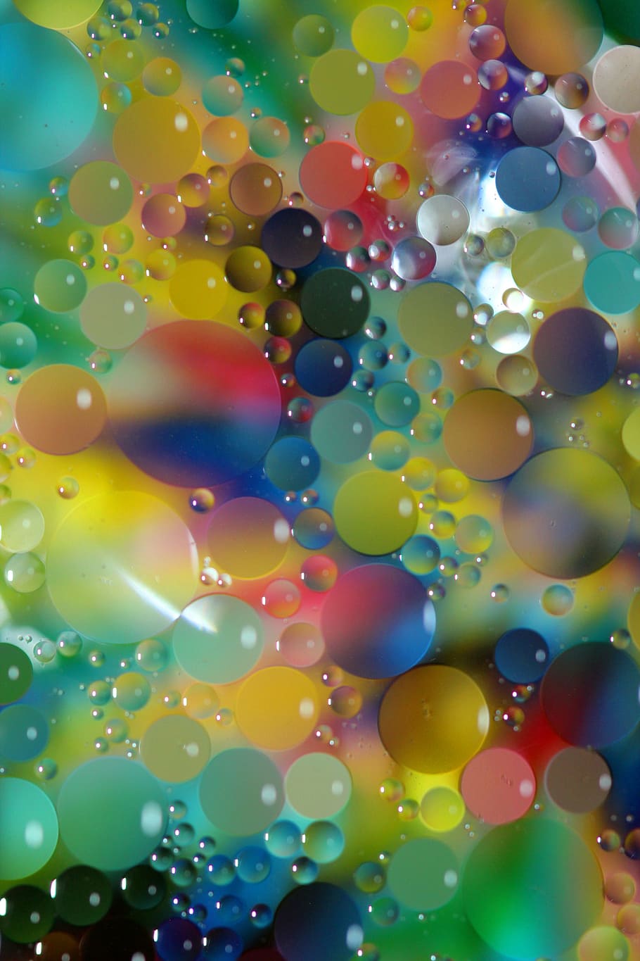 macro, ellipses, circles, oil, water, floating, artistic, colorful HD wallpaper