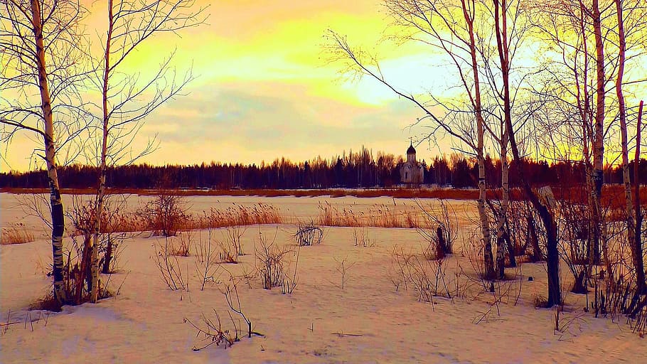 Spring, Winter, Dawn, Nature, tranquility, beauty in nature HD wallpaper