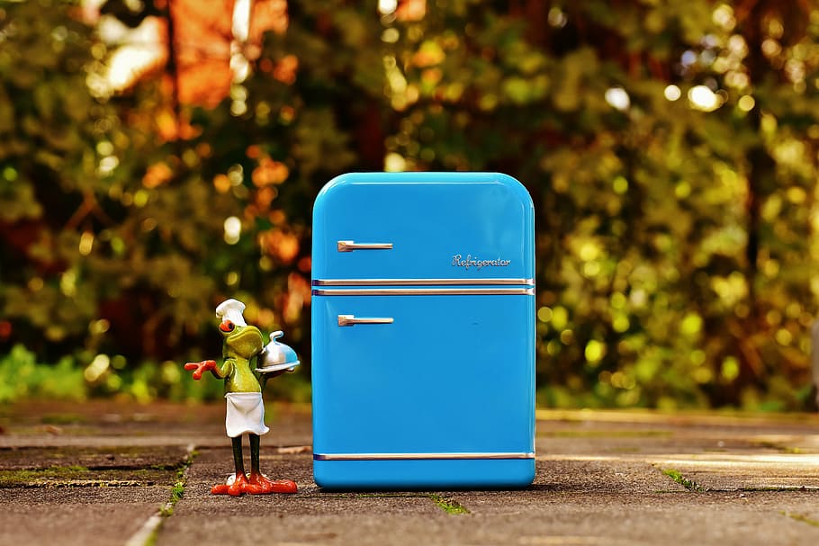 frog, cooking, refrigerator, blue, figure, funny, frogs, cute HD wallpaper