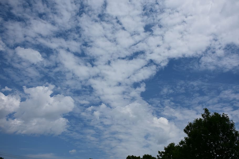 sky, clouds, blue, white, light, tree, plant, cloudy, weather HD wallpaper
