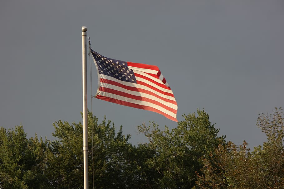 flag, pole, thing, plant, patriotism, tree, sky, low angle view HD wallpaper