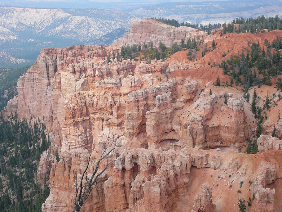 summer, canyon, uSA, nature, bryce Canyon, bryce Canyon National Park, HD wallpaper