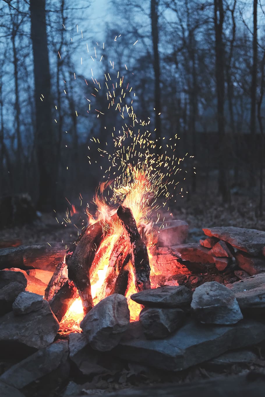 shallow focus photography of bonfire, nature, camp, outdoor HD wallpaper