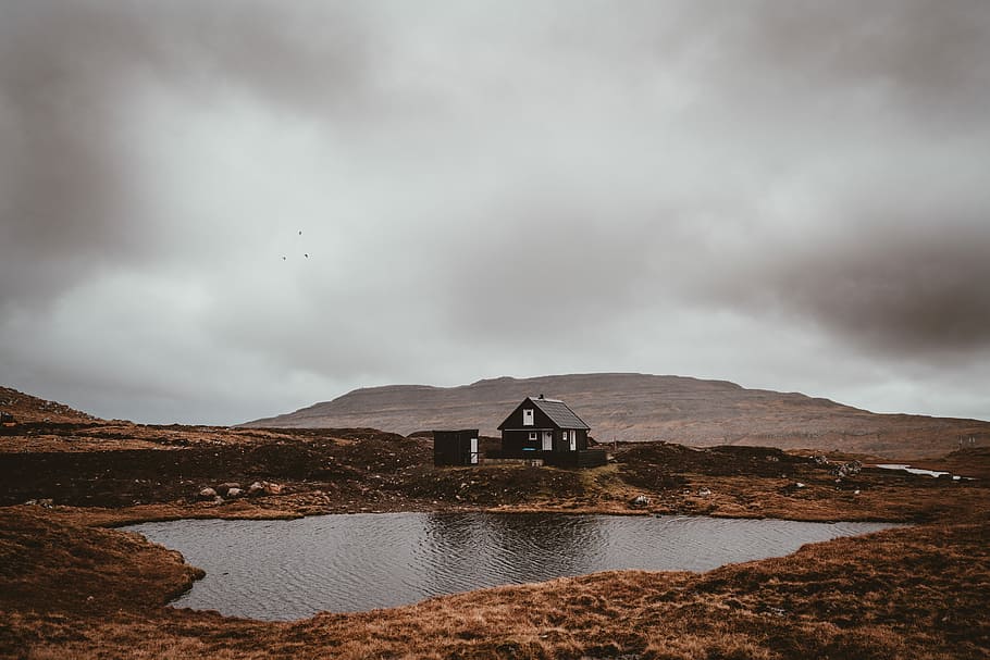 black house near a pond, brown house near lake, cabin, water HD wallpaper