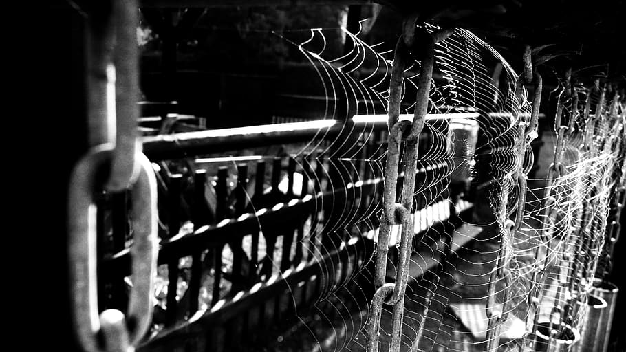 spiderweb, chain, cobweb, net, trap, network, fragility, hanging HD wallpaper