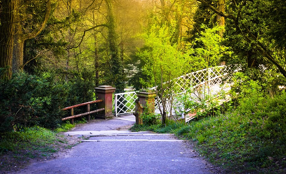 bridge, away, web, railing, pedestrian bridge, nature, green HD wallpaper