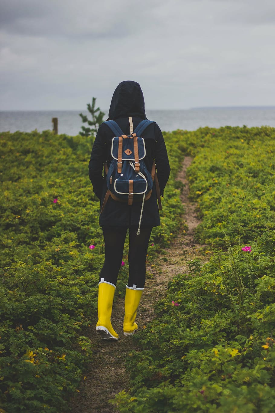 woman walking on dirty road in middle of flower field during daytime HD wallpaper
