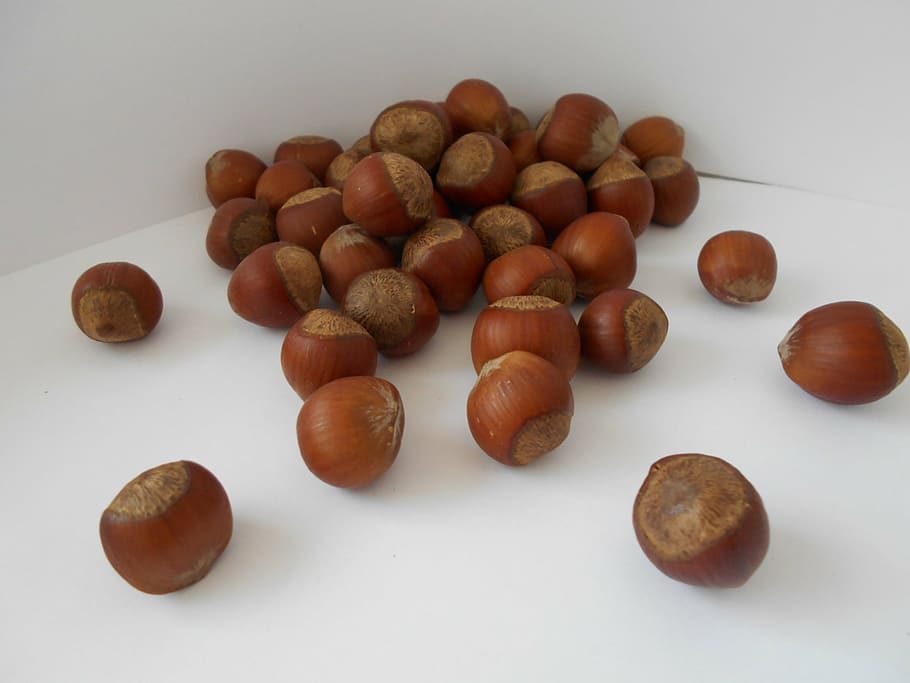 filbert, hazelnut, nuts, still life, white background, food and drink HD wallpaper
