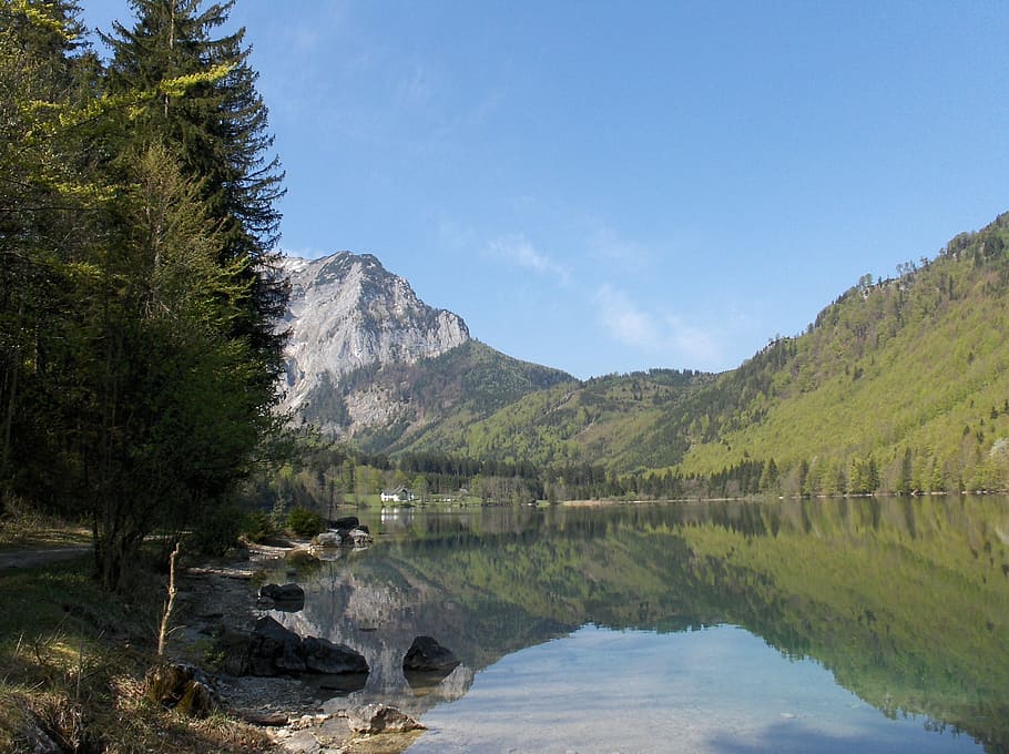 landscape, mountains, forest, nature, panorama, austria, mood HD wallpaper