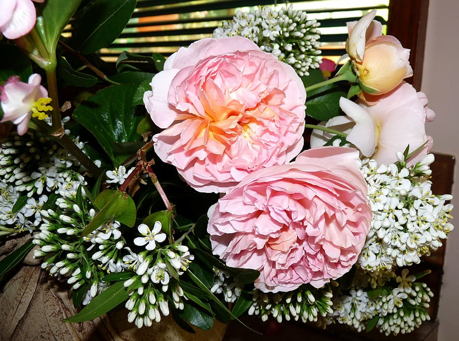 Flowers, Mixed, Vase, blossom, plant, close-up, peony, no people HD wallpaper