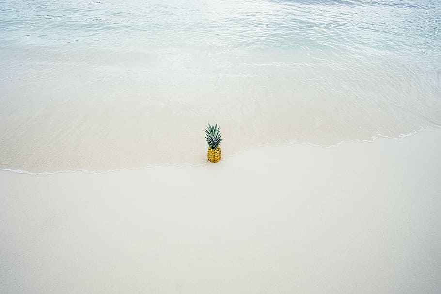pineapple beside seashore, ripe, water, beach, coast, sand, fruit