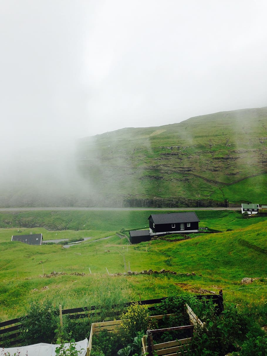 faroeislands, fog, nature, green, landscape, scenic, streymoy, HD wallpaper