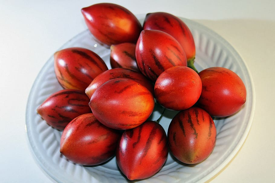 red fruits on plate, tree tomato fruit, ripe, oval, pointy HD wallpaper