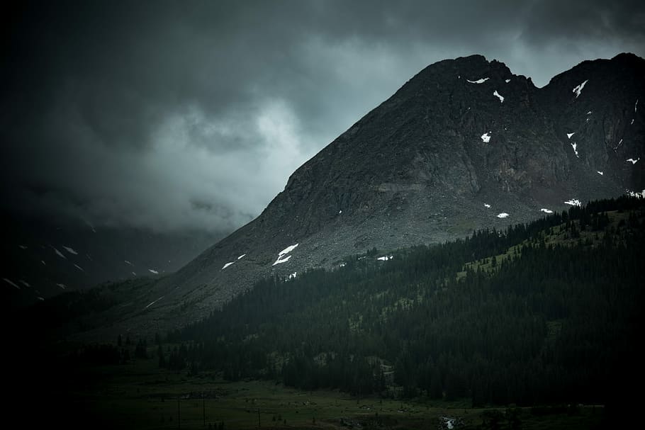 trees near mountains, fault block mountains surrounded by pine trees under gray clouds HD wallpaper