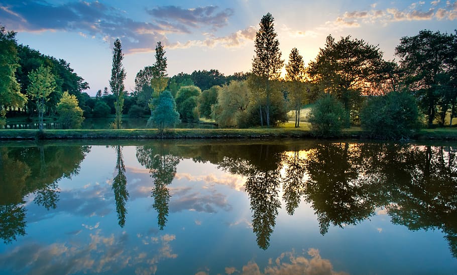 trees near body of water panoramic photo, sunset, colorful HD wallpaper