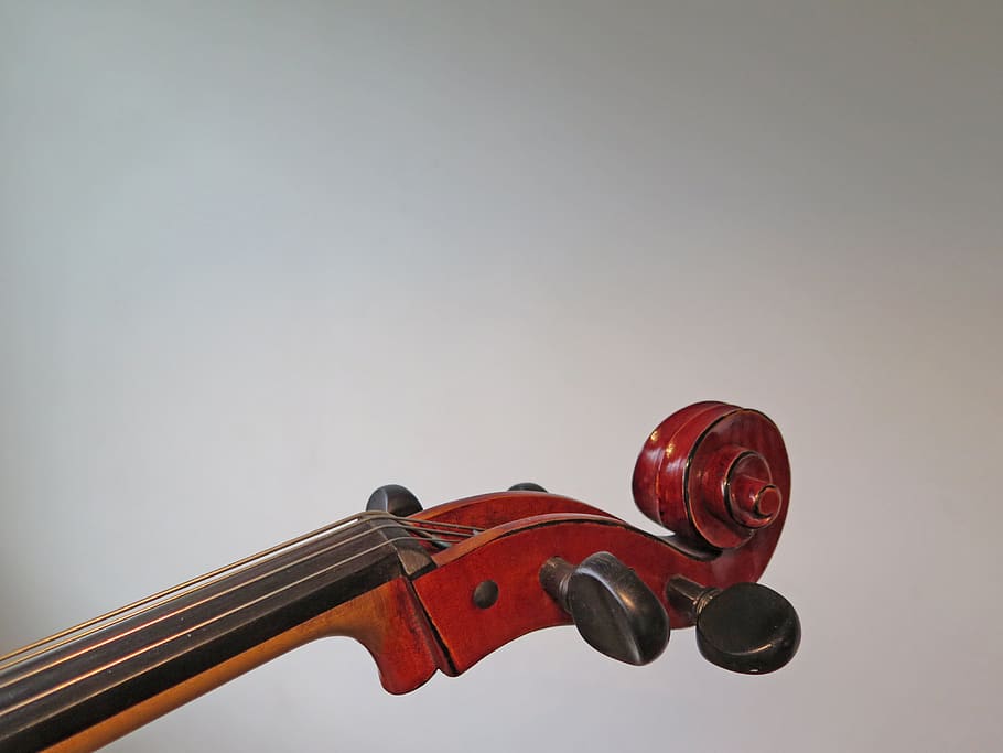 cello, strings, instrument, eddy, mood, stringed instrument HD wallpaper