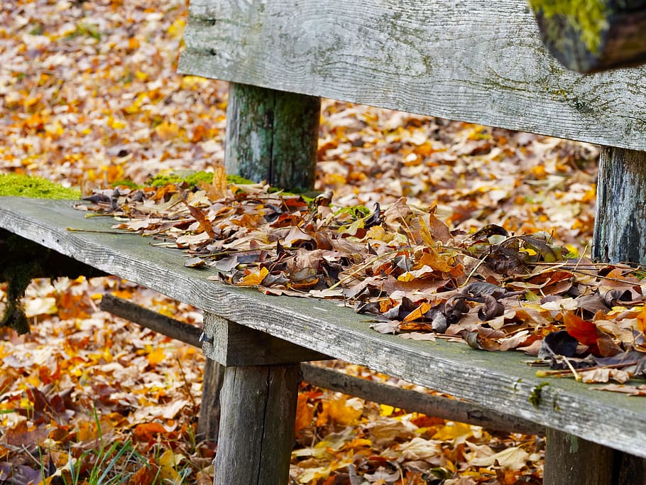 Leaves, Old, Bench, Fall Colors, old bench, foliage, nature HD wallpaper