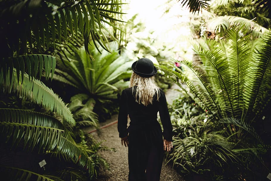 fashion, person, woman, girl, back view, blonde, blur, environment HD wallpaper